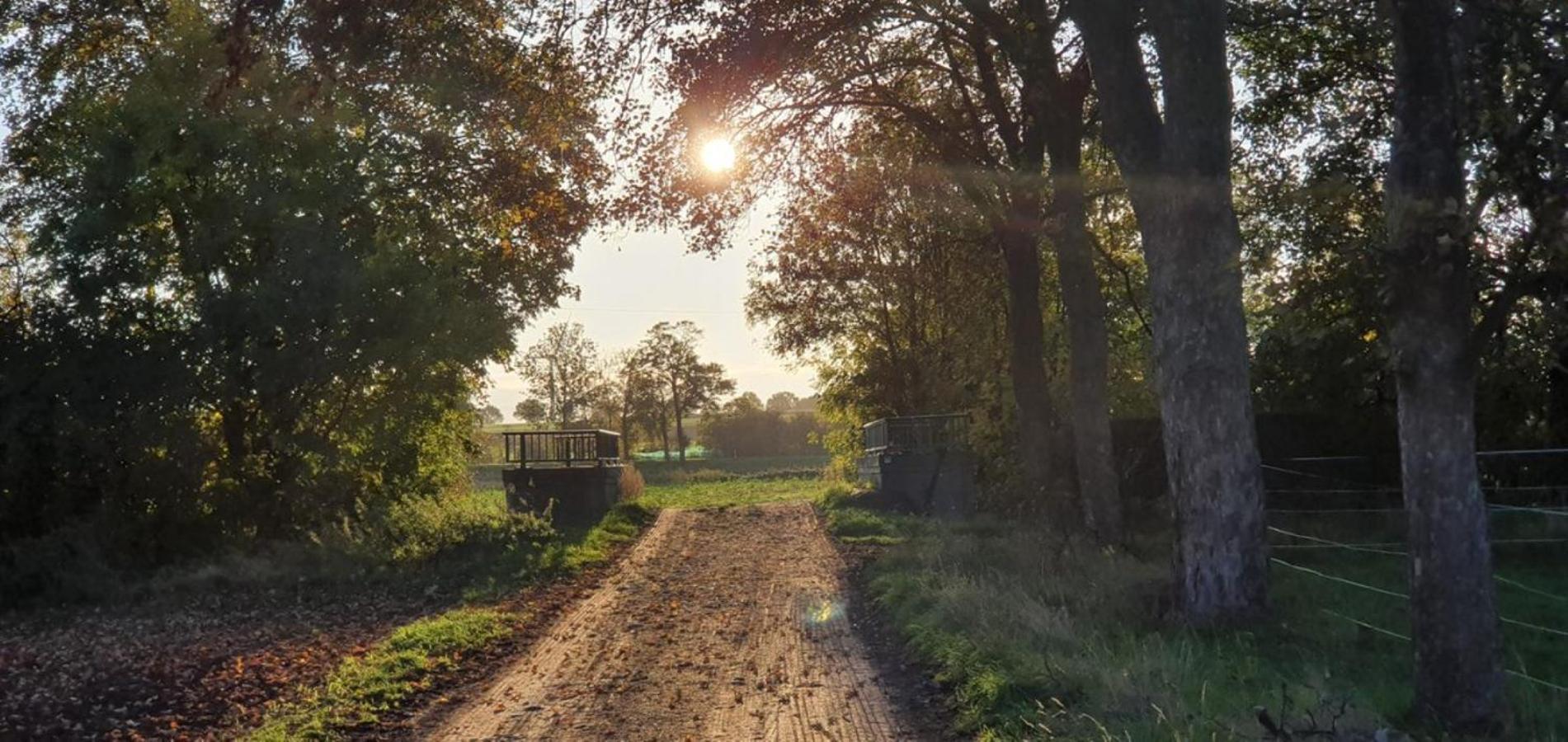 Ferienhaus Q1, Ruhe Und Erholung In Der Eifel 췰피히 외부 사진